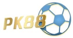 how do you play sudoku puzzle
